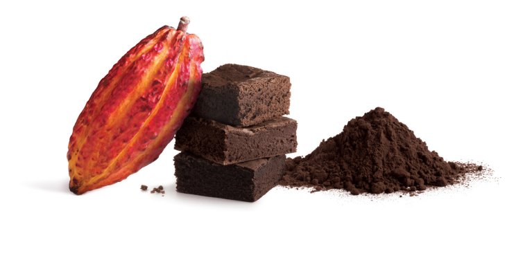 Callebaut introduces Natural Dark chocolate